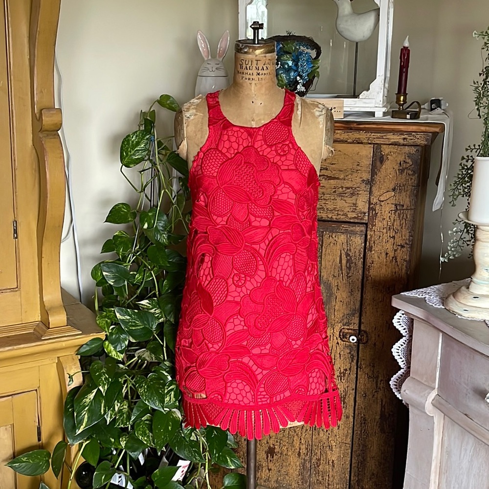 Hot red Lovers & Friends dress